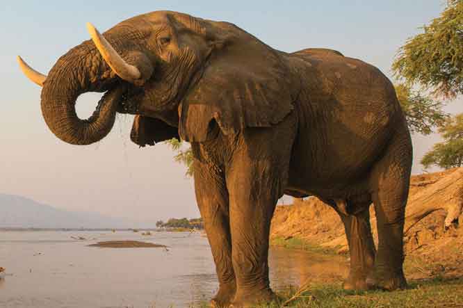 تور آفریقای جنوبی و زیمباوه توریزما تراول