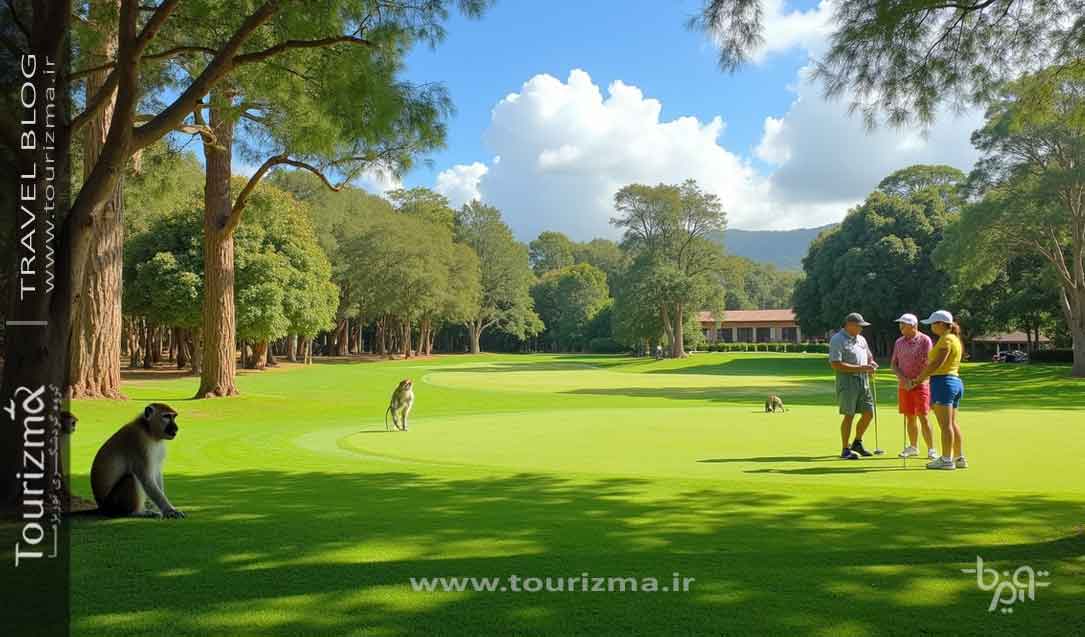 زمین گلف و میمون های آفریقایی 