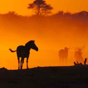 منظره غروب طبیعت در تور کنیا و تانزانیا با توریزما تراول