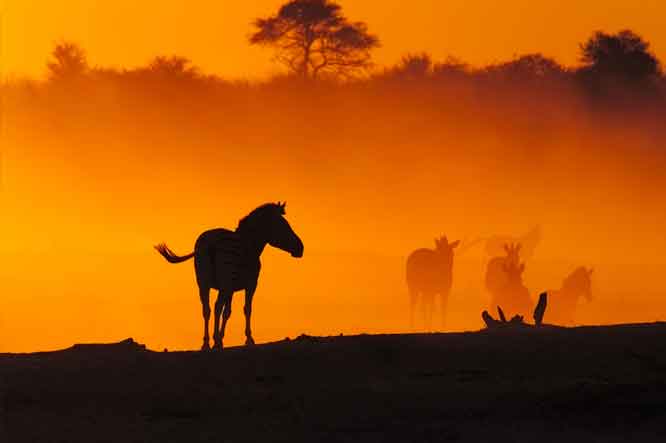 منظره غروب طبیعت در تور کنیا و تانزانیا با توریزما تراول